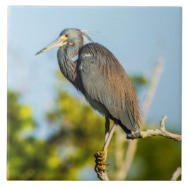 Bird Perfect Keramik Tile Art Fliese