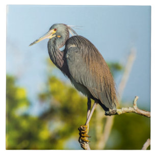 Bird Perfect Keramik Tile Art Fliese