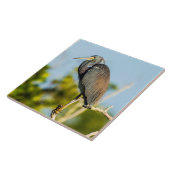 Bird Perfect Keramik Tile Art Fliese (Seite)