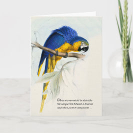 Bird Pet Beileid Blue und Gold Macaw Parrot Karte