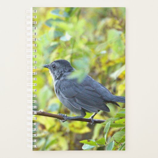 Bird Photo Planner Planer (Vorderseite)