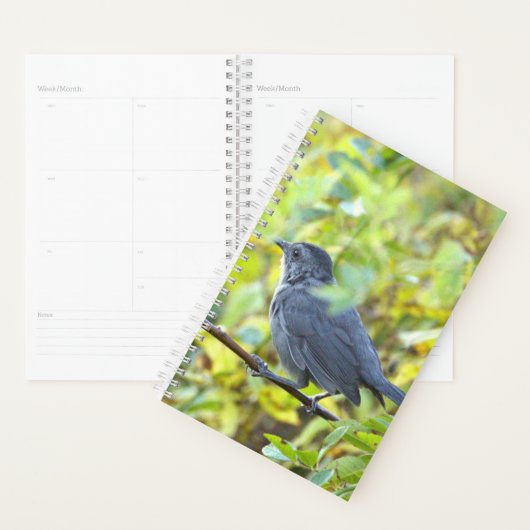 Bird Photo Planner Planer (Anzeige)