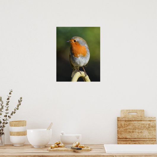 Bird Poster (Küche)