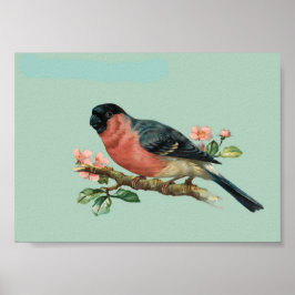Bird Poster