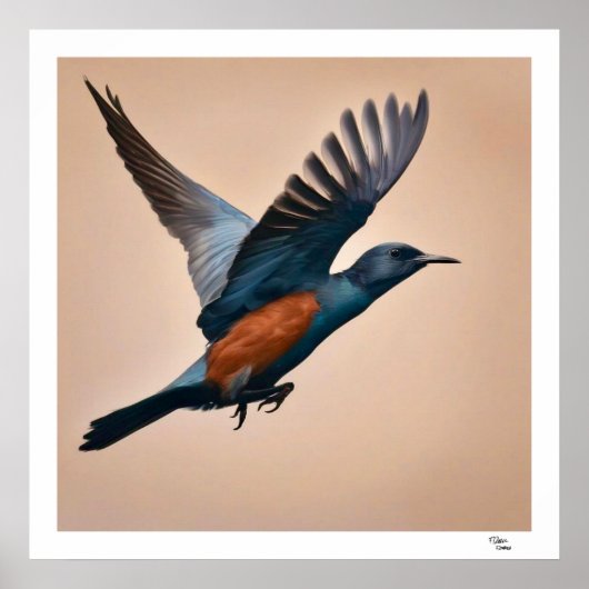 Bird Poster (Vorne)