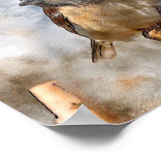 Bird Poster (Ecke)