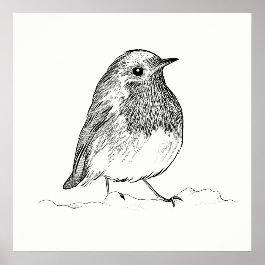 Bird Poster / Wall Art Robin (Vorne)