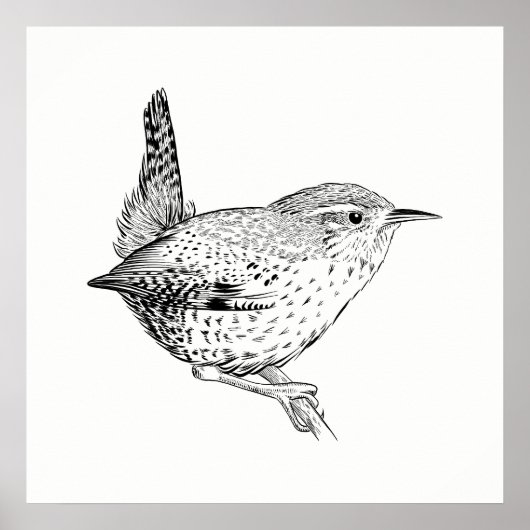 Bird Poster / Wall Art Wren (Vorne)