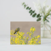 Bird Postkarte (Stehend Vorderseite)