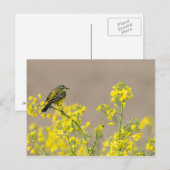 Bird Postkarte (Vorne/Hinten)