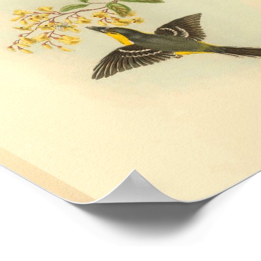Bird Print Poster (Ecke)