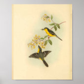 Bird Print Poster (Vorne)