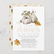 Bird Pumpkin Fall Watercolor Baby Dusche by Mail I