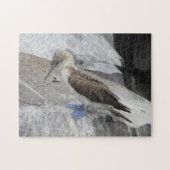 Bird Puzzle (Horizontal)