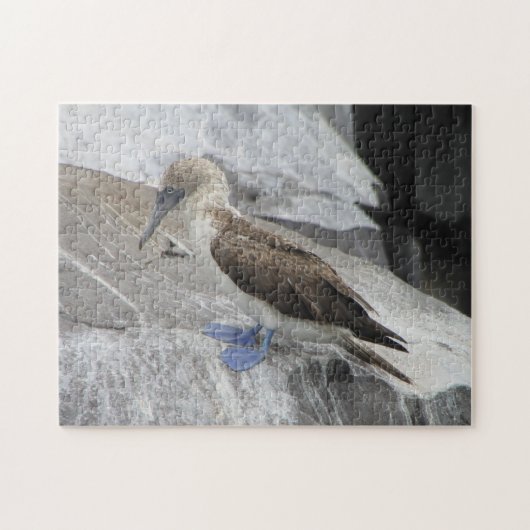 Bird Puzzle (Horizontal)