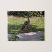 Bird Puzzle (Horizontal)