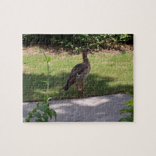 Bird Puzzle (Horizontal)