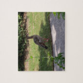 Bird Puzzle (Vertikal)