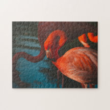 Bird Puzzles Bird Foto Beste Fotos