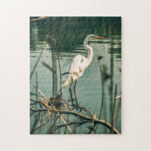 Bird Puzzles Bird Foto Beste Fotos