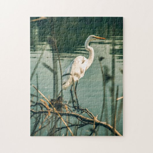 Bird Puzzles Bird Foto Beste Fotos (Vertikal)