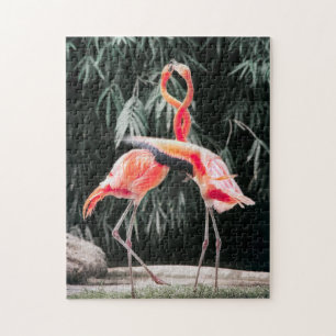 Bird Puzzles Bird Foto Beste Fotos