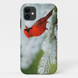 Bird red_iphone Case-Mate iPhone hülle