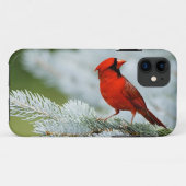 Bird red_iphone Case-Mate iPhone hülle (Rückseite (Horizontal))