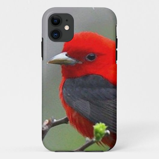 Bird red_iphone Case-Mate iPhone hülle (Rückseite)