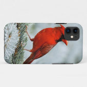 Bird red_iphone Case-Mate iPhone hülle (Rückseite (Horizontal))