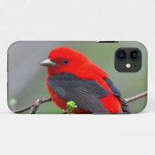 Bird red_iphone Case-Mate iPhone hülle (Rückseite (Horizontal))