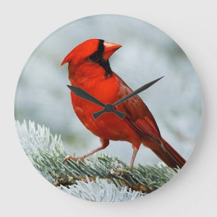 Bird red_iphone große wanduhr