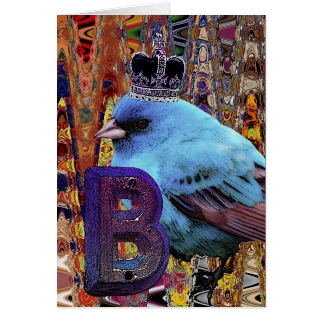 Bird Royalty (Vorne)