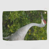 Bird Sandhill Crane Foto Golfhandtuch (Horizontal)