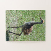 Bird Sandhill Crane Naturfotografie Natur Puzzle (Horizontal)
