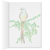Bird Scissor Flycatcher Mistletoe Blank (Innen (Rechts))