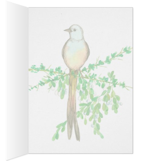 Bird Scissor Flycatcher Mistletoe Blank (Innen (Rechts))