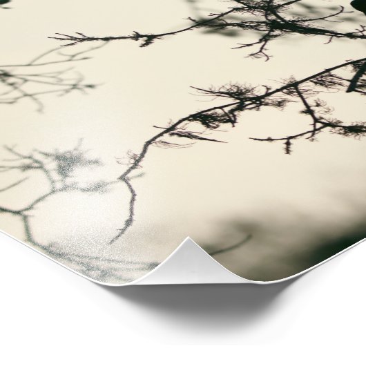 Bird Silhouette Fotodruck (Ecke)