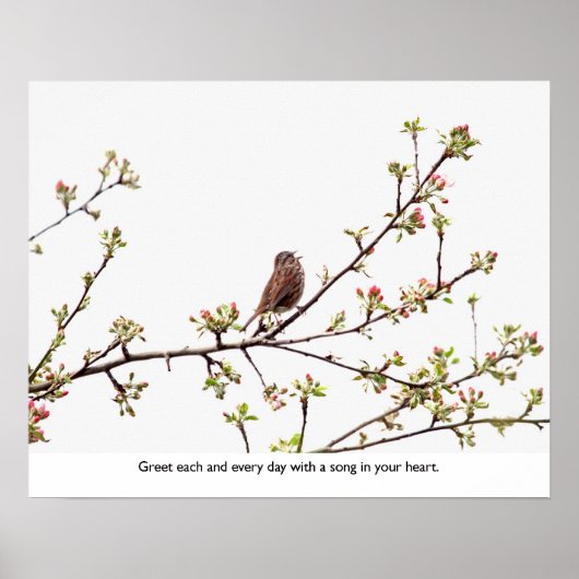 Bird Singing a Happy Song Poster (Vorne)