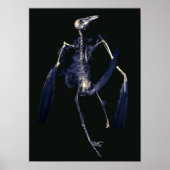 Bird Skeleton Poster (Vorne)
