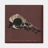 Bird Skull Magnet (Vorne)
