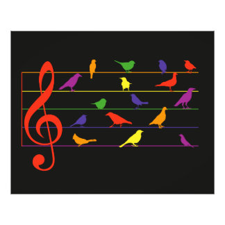 Bird Song, colorful design Fotodruck
