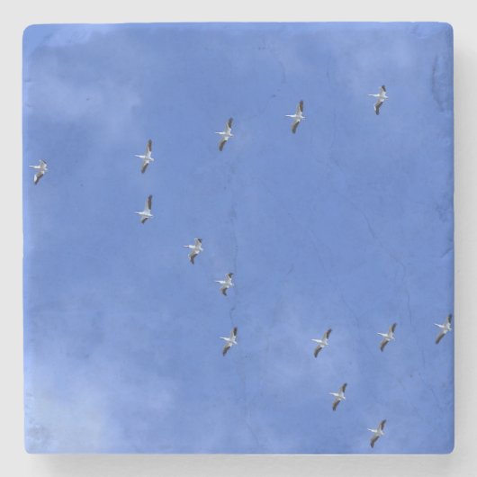 Bird Steinuntersetzer (Vorderseite)