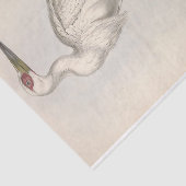 Bird Stork Ephemera Decoupage Seidenpapier (Ausschnitt)