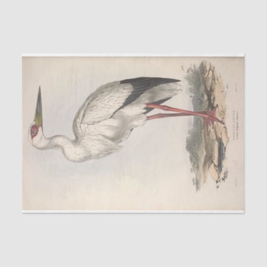 Bird Stork Ephemera Decoupage Seidenpapier (Vorderseite)