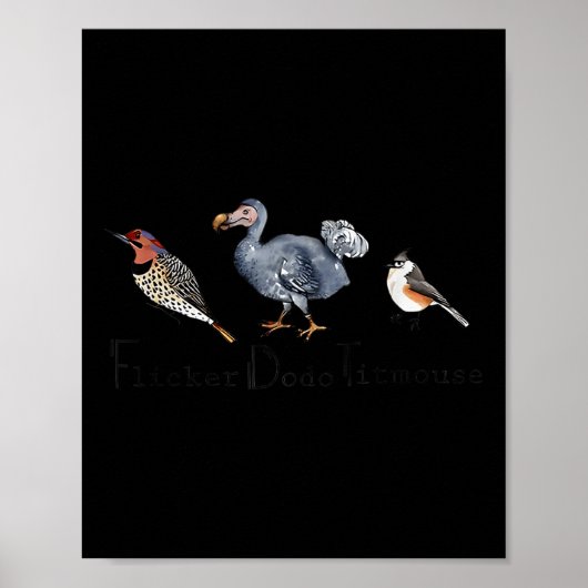 Bird Subtile Flicker Dodo Titmouse Poster (Vorne)