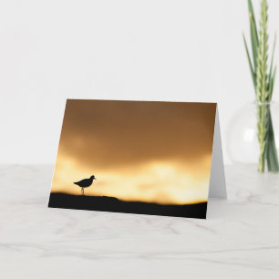 Bird Sunset Nature Foto Karte