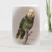 Bird Sympathy Card Karte (Vorderseite)