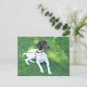 Bird the German Shorthair Pointer Postkarte (Stehend Vorderseite)