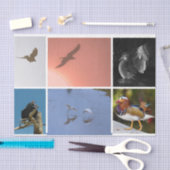 Bird Theme Crow Duck Condor Egret Mixed Media Seidenpapier (Handwerk)